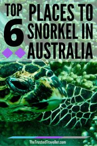 Read more about the article Turtle at Turquoise Bay – Top 6 Places To Snorkel In Australia – The Trusted Tra…