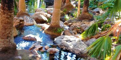 Zebedee Thermal Springs, Western Australia.