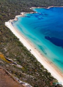 Read more about the article Hazards Beach, Tasmania, Australia