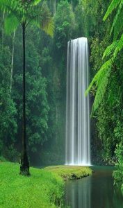 Read more about the article Millaa Millaa Falls, Queensland, Australia