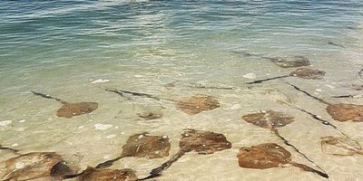 Whitehaven Beach, Queensland.