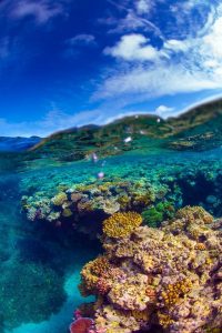 Read more about the article 44 surreal scenes from Australia’s Great Barrier Reef – Matador Network