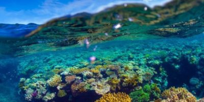 44 surreal scenes from Australia’s Great Barrier Reef – Matador Network