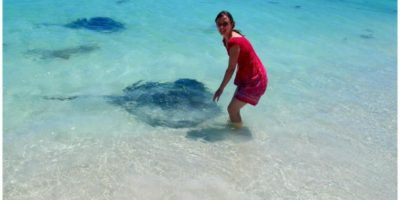 Meeting one of the friendly sting rays at Hamelin Bay near Margaret River in Wes…