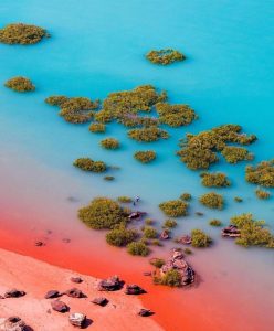 Read more about the article Broome, Australia