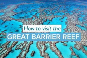 Read more about the article Is the Great Barrier Reef on your travel bucket list? Here are our tips!