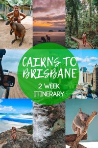 Read more about the article Planning a road trip along the East Coast of Australia? Check out this Cairns to…