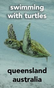 Read more about the article The small Queensland island off the coast of Australia where you can go swimming…