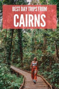 Read more about the article Cairns, on the Eastern coast of Australia, is the perfect base from which to dis…