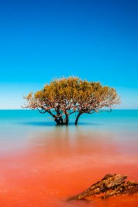 Read more about the article Most Beautiful Places in Australia Photos | Crab Creek in Broome Australia | Bea…