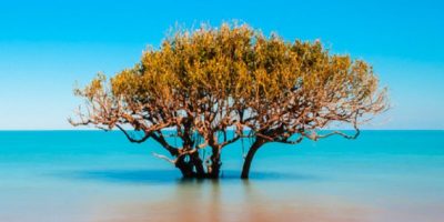 Most Beautiful Places in Australia Photos | Crab Creek in Broome Australia | Bea…