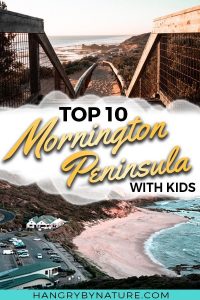 Read more about the article Discover the best things to do in Mornington Peninsula with kids – featuring som…