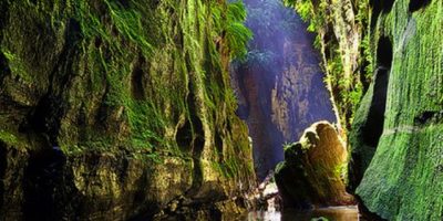 The Blue Mountains. Australia