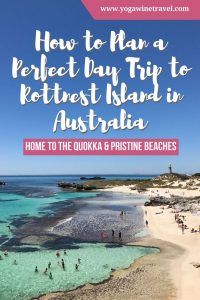 Read more about the article Yogawinetravel.com:  How to Plan a Perfect Day Trip to Rottnest Island in Austra…