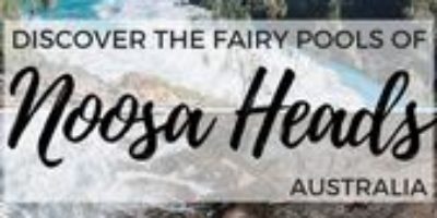 Planning a trip to the fairy pools of Noosa Heads? Find out everything you need …