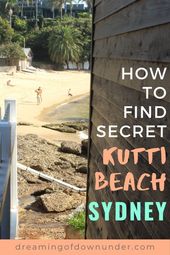 Read more about the article Visit Beautiful Kutti Beach: Sydney’s Secret Dog-Friendly Beach in the Eastern Suburbs