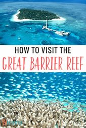 Read more about the article How to visit the Great Barrier Reef – Tours from Cairns