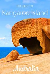 Read more about the article Complete travel guide to Kangaroo Island: itinerary, top activities, and accommo…