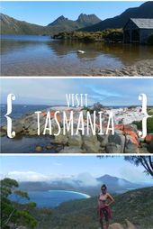 Read more about the article Check out this blog post for the top 10 reasons to visit Tasmania. A must do if …