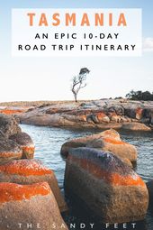 Read more about the article The Perfect 10-Day Tasmania Road Trip Itinerary #tasmania #australia #roadtrip #…