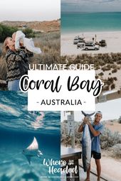 Read more about the article Ultimate Guide to Coral Bay Western Australia