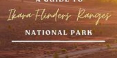 A Guide To Visiting Ikara-Flinders Ranges National Park