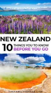 Read more about the article You won’t want to miss these MUST-READ New Zealand travel tips. We’ll help you m…