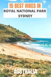 Read more about the article 15 Best Royal National Park Walks In Sydney