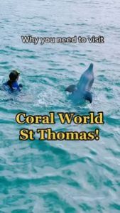 Read more about the article Coral World Ocean Park – Marine Wildlife Park in USVI St Thomas