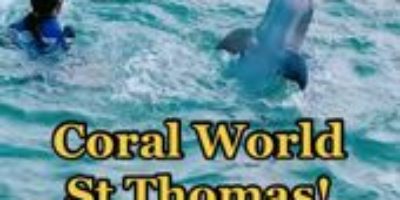 Coral World Ocean Park – Marine Wildlife Park in USVI St Thomas