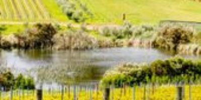 Find out about our five favourite wineries on the Mornington Peninsula in Victor…