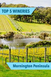 Read more about the article Find out about our five favourite wineries on the Mornington Peninsula in Victor…