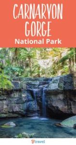 Read more about the article Our readers recommended we visit Carnarvon Gorge National Park and we're so …