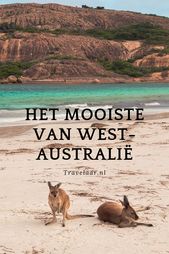 Read more about the article Het mooiste van West-Australië