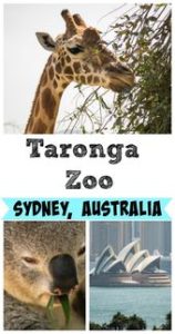 Read more about the article Check out the Taronga Zoo in Sydney, Australia! | AGlobalStroll.com