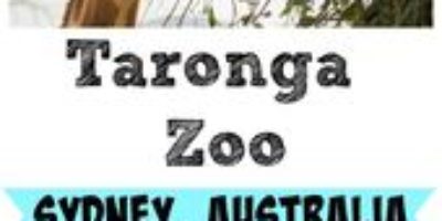 Check out the Taronga Zoo in Sydney, Australia! | AGlobalStroll.com