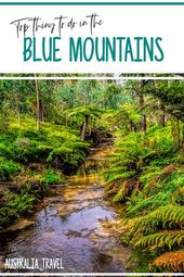 Read more about the article 27 Fun things to do in the Blue Mountains