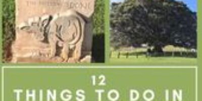 Things To Do In Maleny
