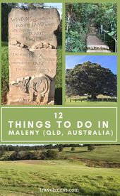 Read more about the article Things To Do In Maleny