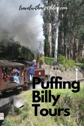 Read more about the article Puffing Billy Tours from Melbourne
