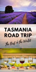 Read more about the article 9 Reasons a Tasmania Road Trip is the Best in the World!