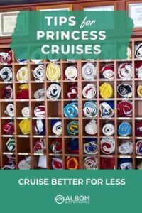 Read more about the article Cruising Tips and Tricks