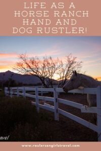 Read more about the article Life as a Horse Ranch Hand and Dog Rustler – RaulersonGirlsTravel