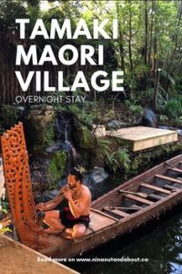 Read more about the article Tamaki Maori Village